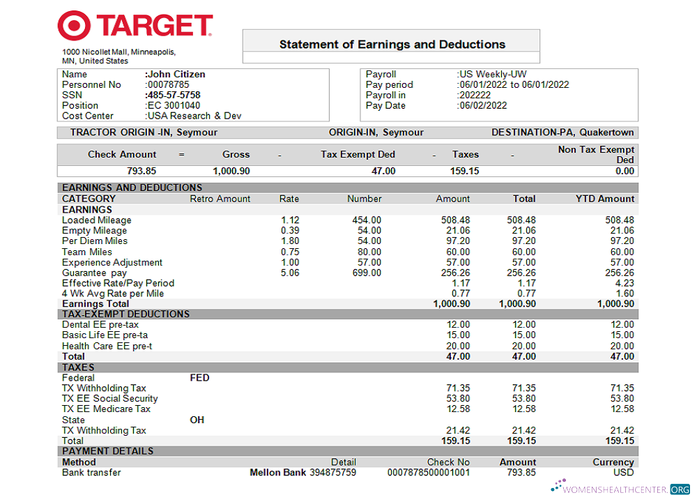 Download USA Target retail company pay stub Photoshop template